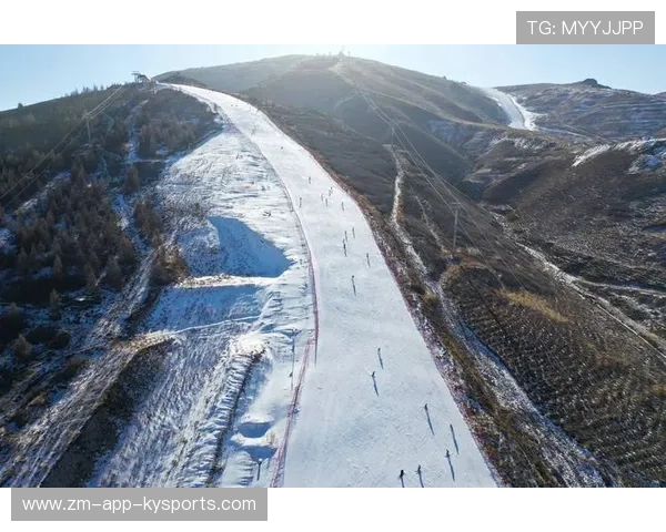 世界高山滑雪赛道生态修复第101期进展通报，2021高山滑雪比赛
